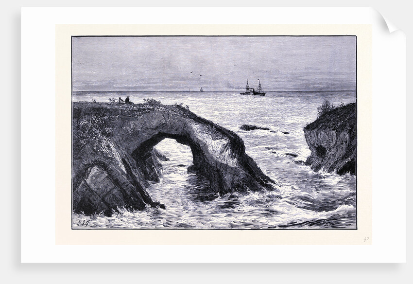 Coast of Mendocino by Anonymous