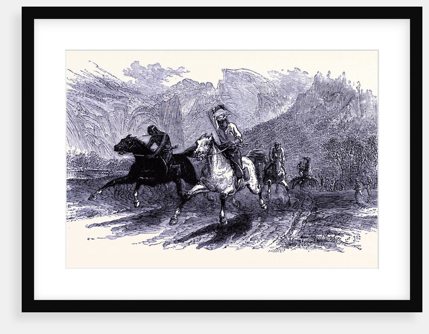 A Horse Race by Anonymous