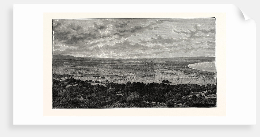 View In The Plain Of Latakia, In Syria by Anonymous