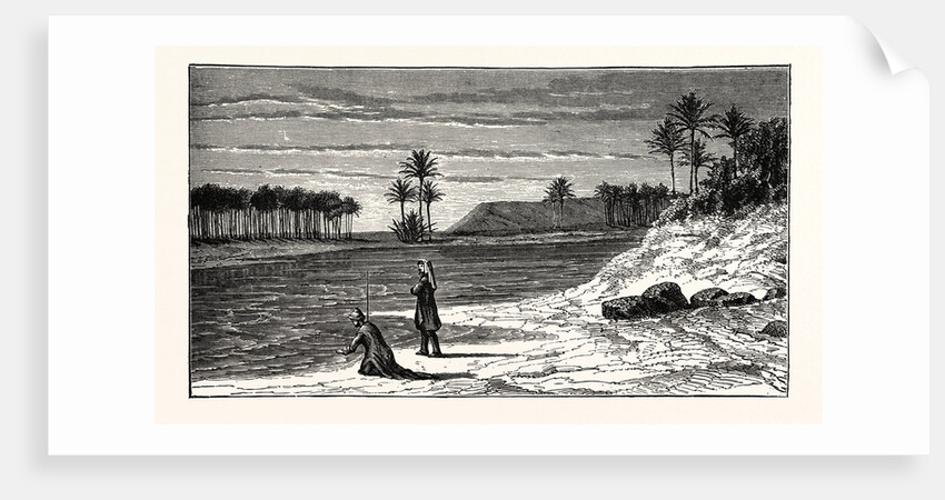 View On The Banks Of The Euphrates by Anonymous