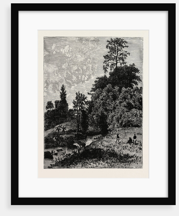 A View In Abyssinia by Anonymous