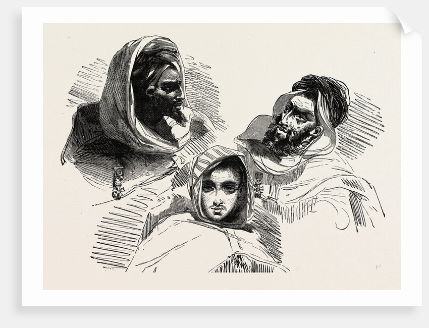 Moors, Several Historic And Modern Populations From North Africa by Anonymous