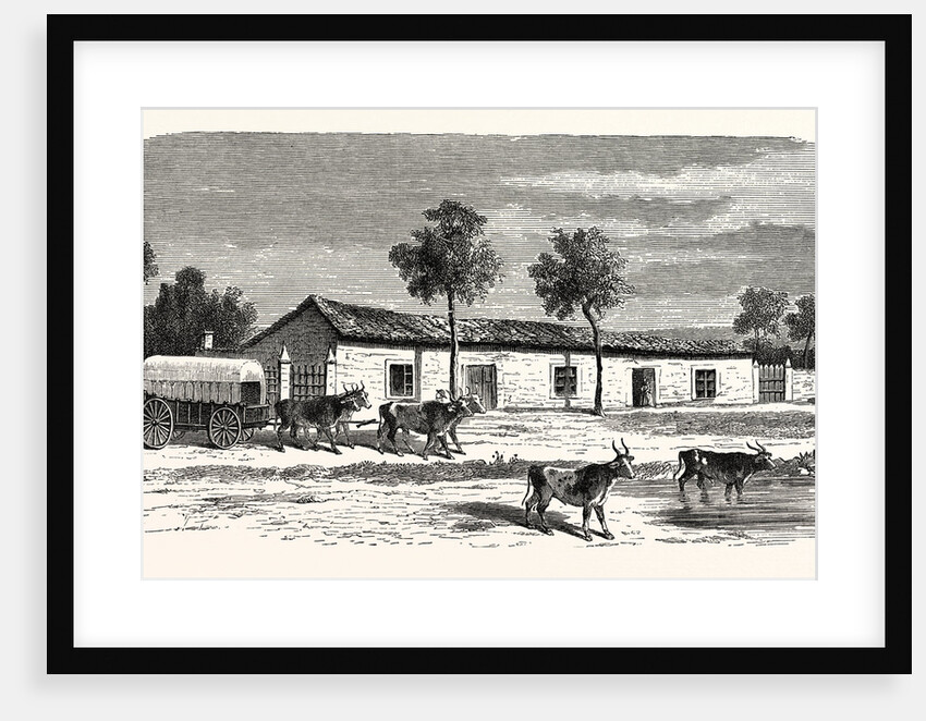 A Boer Farm, South Africa by Anonymous