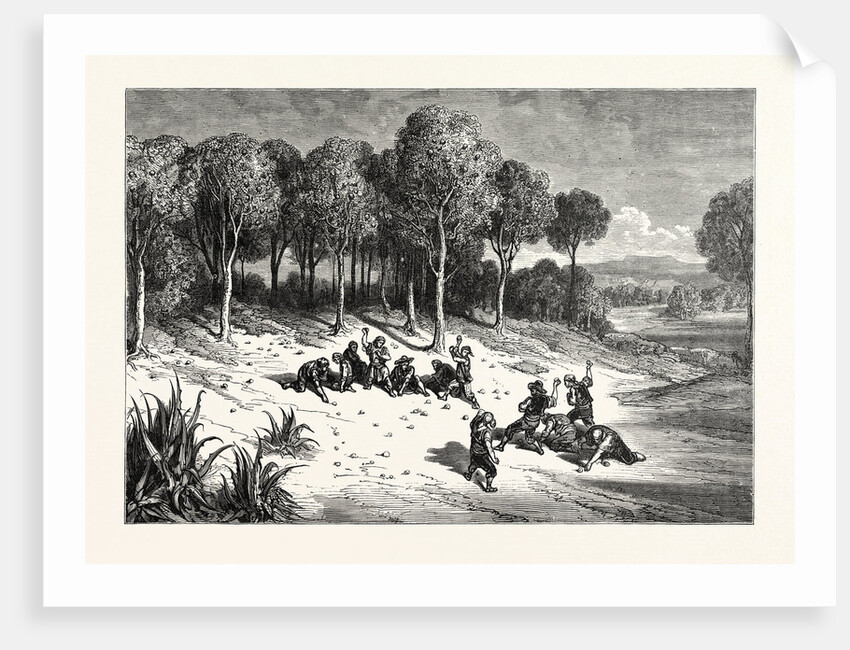 An Orange Grove In The South Of Spain by Anonymous