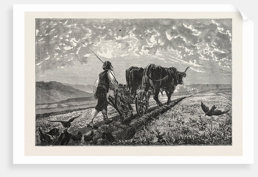 A French Agriculturist by Anonymous