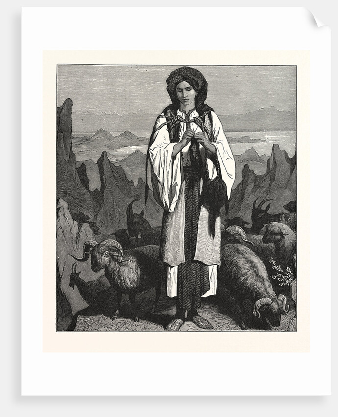 Albanian Shepherdess, Albania by Anonymous