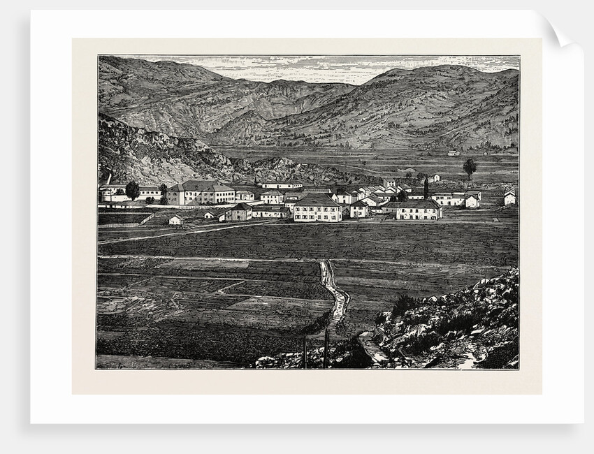 View Of Cetinje, Montenegro by Anonymous