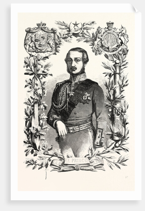 Prince Albert. The Prince Consort of Queen Victoria by Anonymous