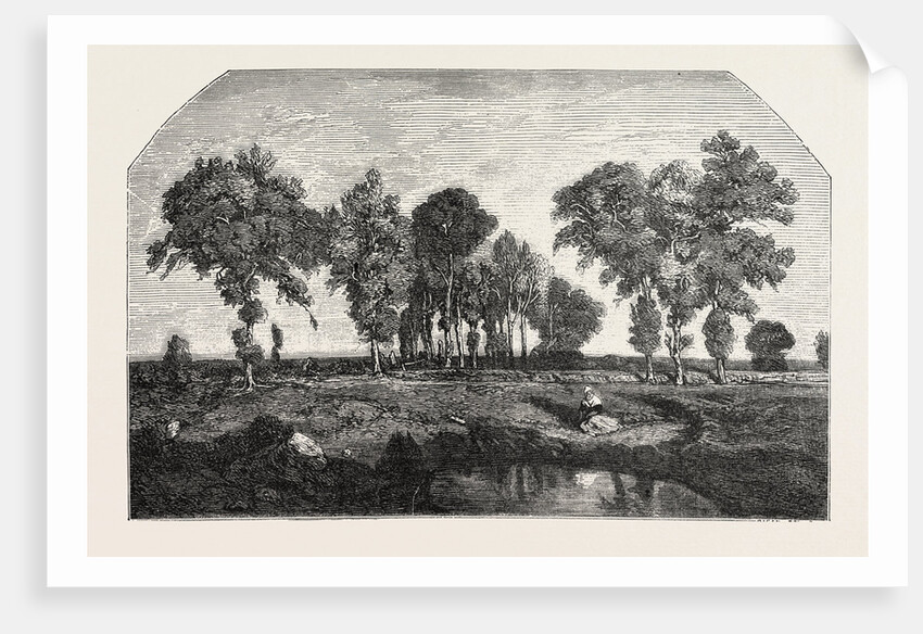 Salon of 1855. The Forest, Engraving 1855 by Anonymous