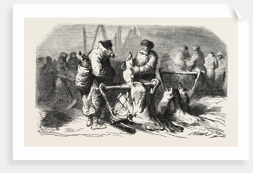 Pigs Dealers Petersburg. According to the Sketch of M. De Henriet. 1855 by Anonymous