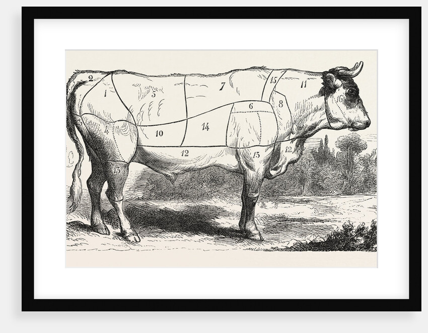 Tax Butchery Paris. Division by Categories of Beef. France by Anonymous