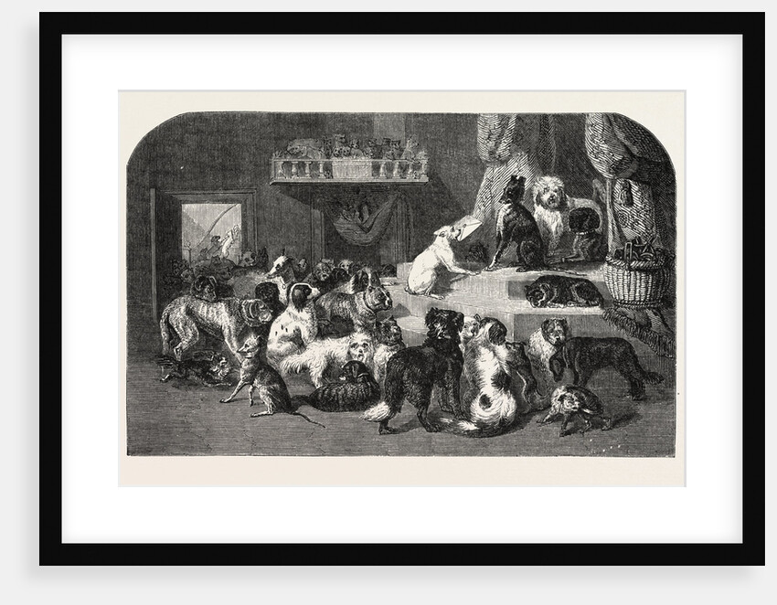 Petition by Dogs by Anonymous