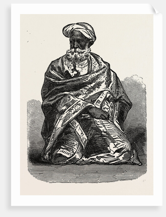 Old Sikh, India by Anonymous