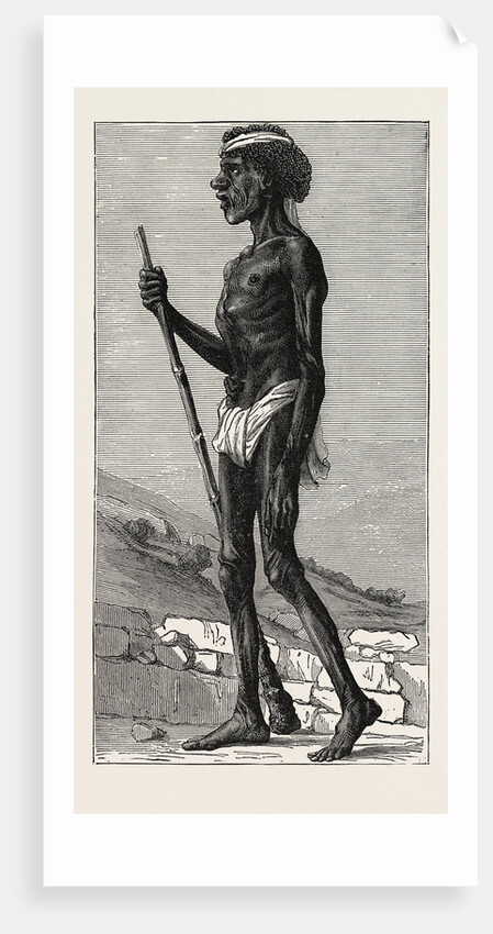 Djangal, Native of the Sirgouja by Anonymous