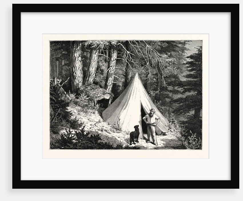 A Summer Encampment in a North Pacific Forest: Copper Mountain, Near Alberni, on the Western Shores of Vancouver Island by Anonymous