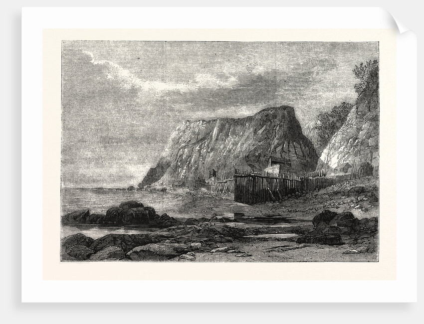 Bonchurch, Isle of Wight by Anonymous