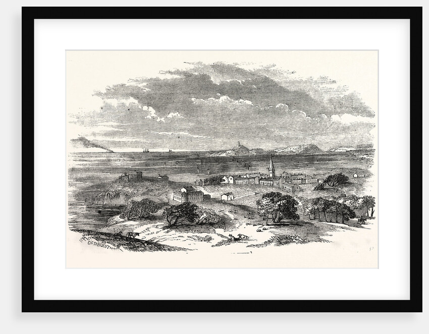 Town and Harbour of Tenby, Pembrokeshire by Anonymous