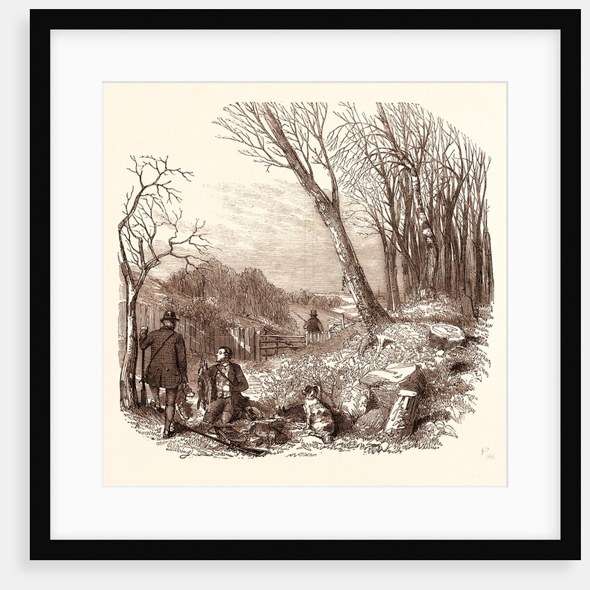 Rabbit Shooting, Rabbits by Anonymous