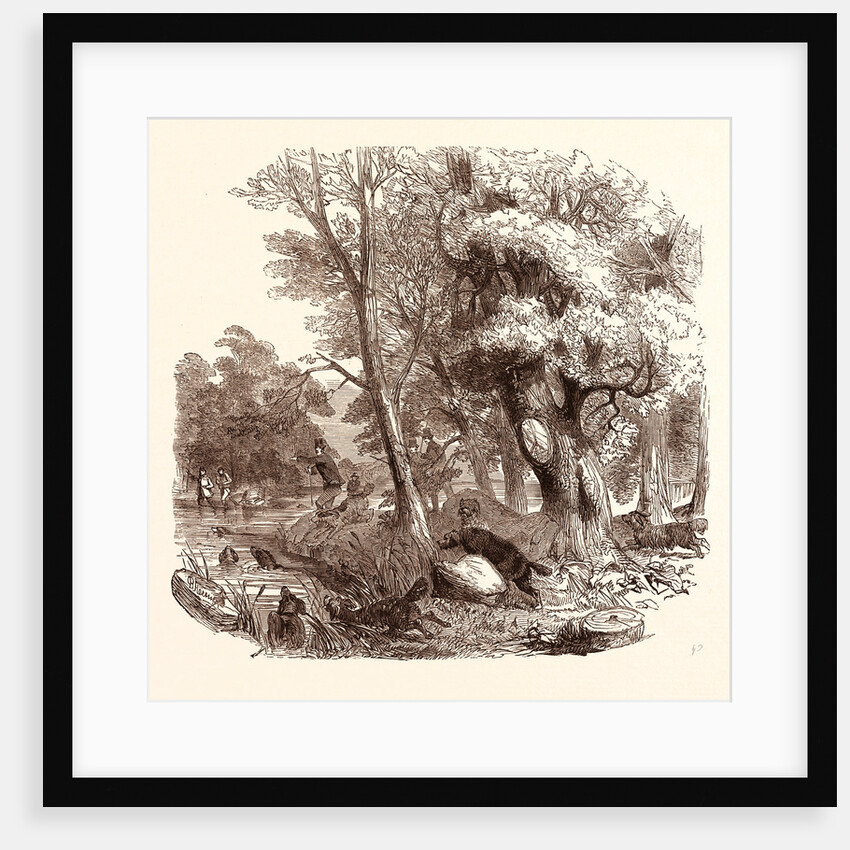 Otter Hunting, Wildlife, River by Anonymous