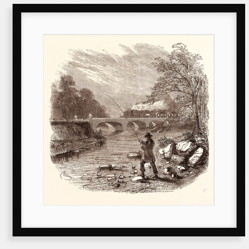 Angling, Fishing, Water, Fish, Fisherman, Bait, River, Angler, Man, Fisher by Anonymous