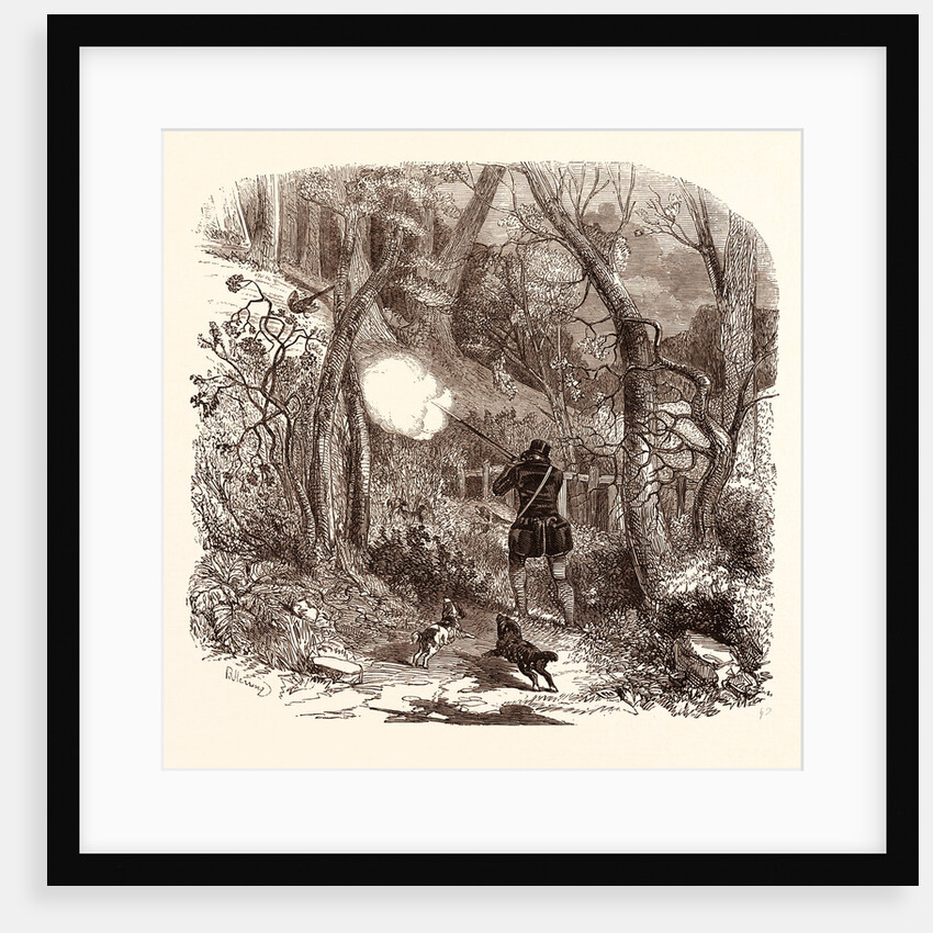 Pheasant Shooting in October by Anonymous