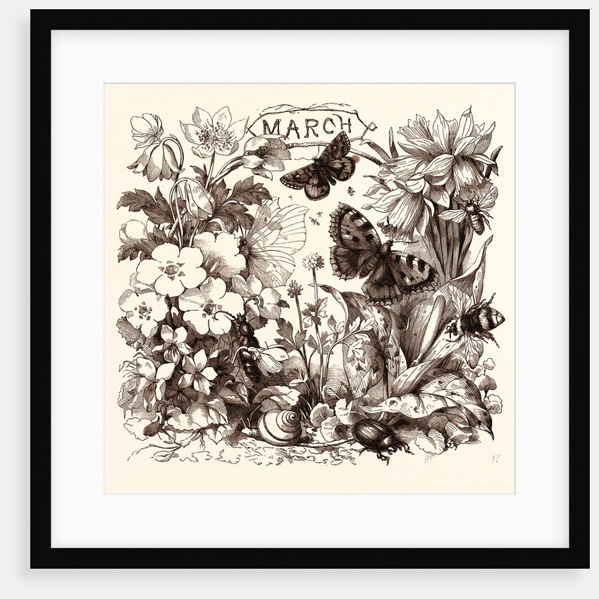 March by Anonymous