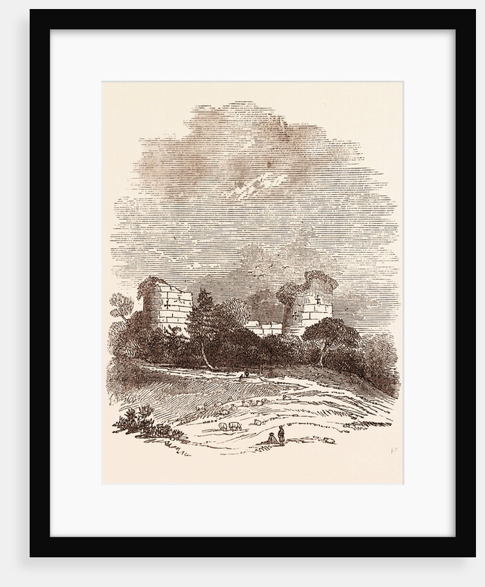 Ruins of Chartley Castle by Anonymous