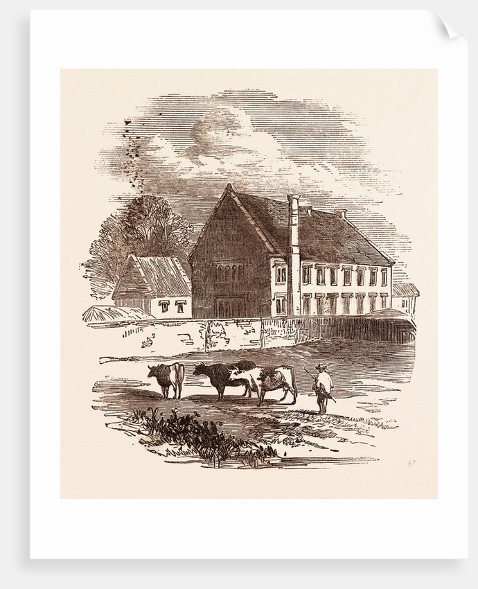 Birth Place of the Great Duke of Marlborough, Ashe, Devon by Anonymous
