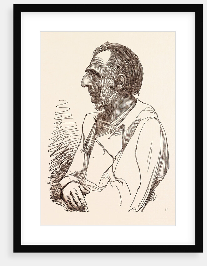 Lieutenant General Sir Charles Napier, the Hero of Scinde by Anonymous