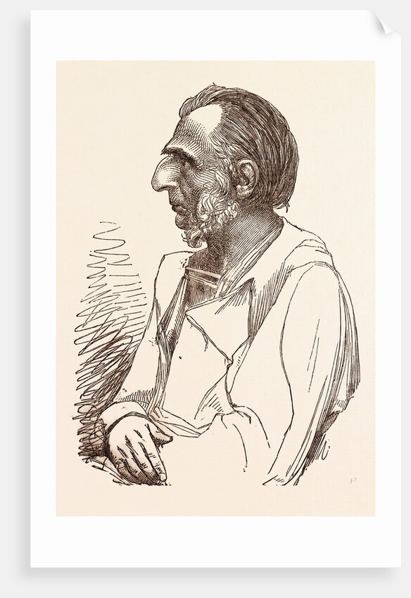 Lieutenant General Sir Charles Napier, the Hero of Scinde by Anonymous