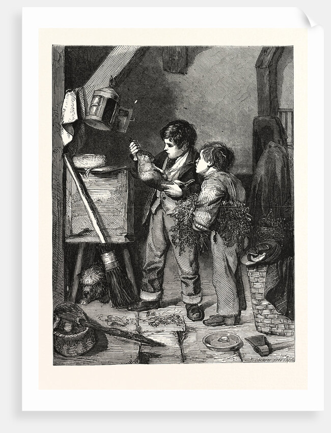 The Dead Rabbit by Anonymous