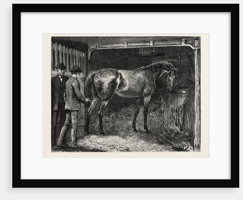 Horse, Stable by Anonymous