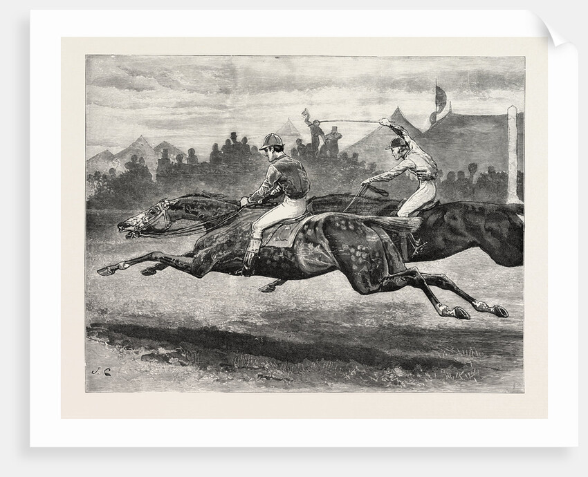 Horse Racing by Anonymous