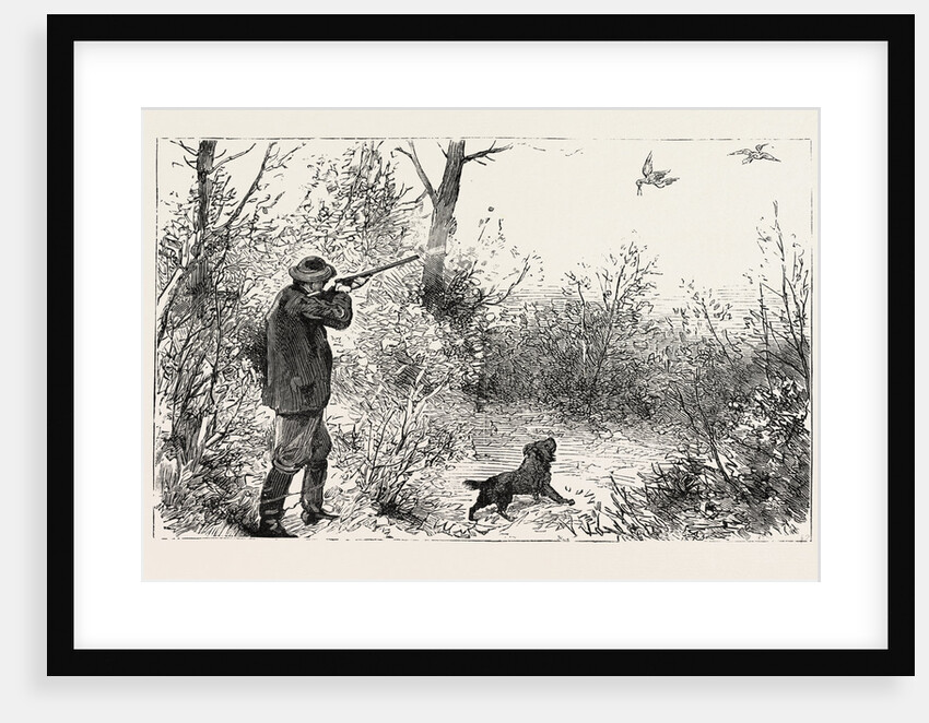 Woodcock Shooting by Anonymous