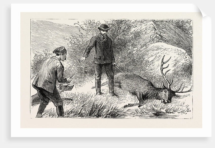 No Need for the Coup De Grace, Hunt, Hunting by Anonymous