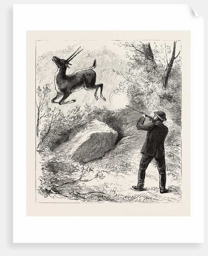 A Flying Shot by Anonymous