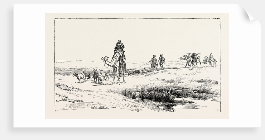 By the Borders of the Dessert by Anonymous