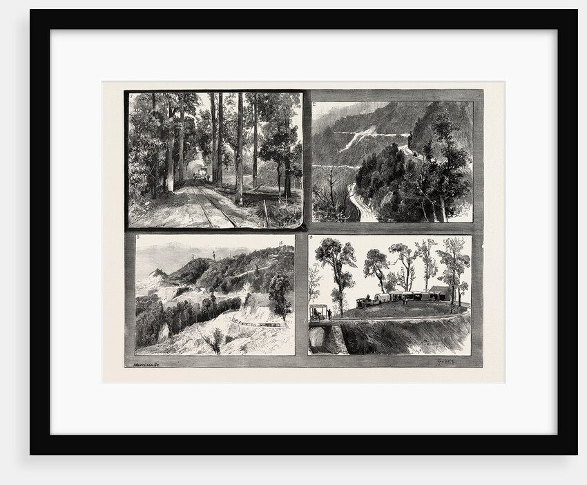 Views on the Darjeeling Hill Railway, India by Anonymous