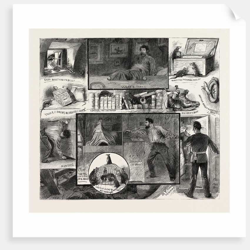 Rats on Board Ship a Midnight Fantasy by Anonymous