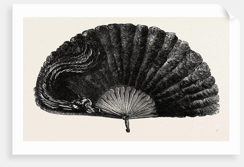 Modern Ostrich Feather Fan by Anonymous