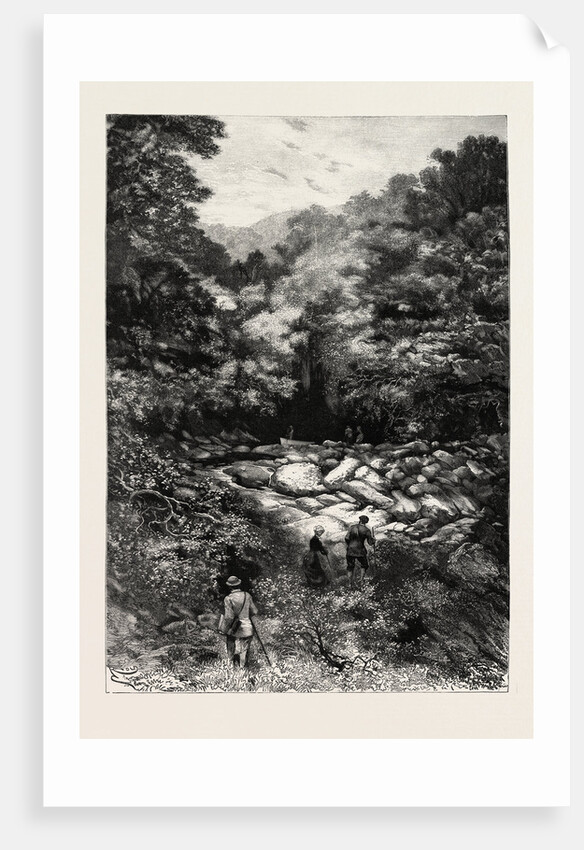 The Grotto of St. Andre Near Nice, France by Anonymous