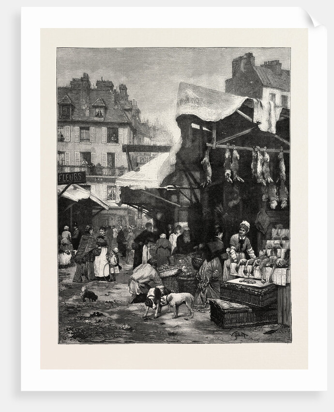 The Old Game and Poultry Market in Paris, Rance by Anonymous