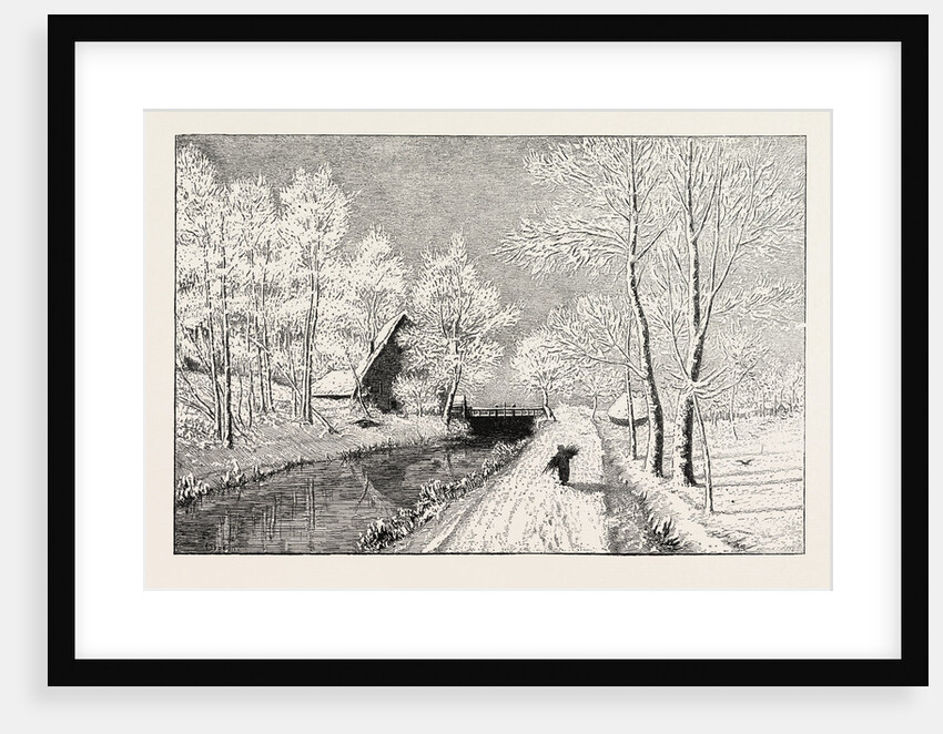 Winter Morning by Anonymous