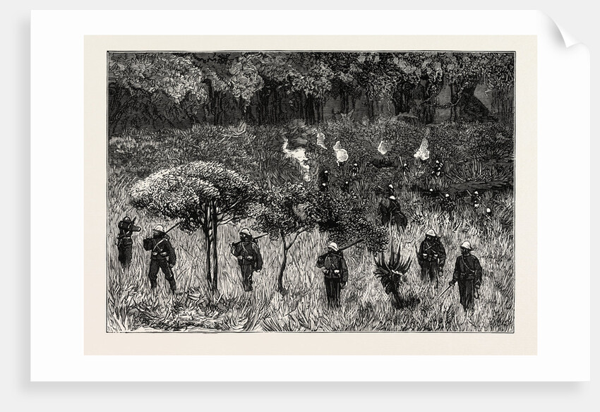 Umvolosi River, the Zulu War by Anonymous