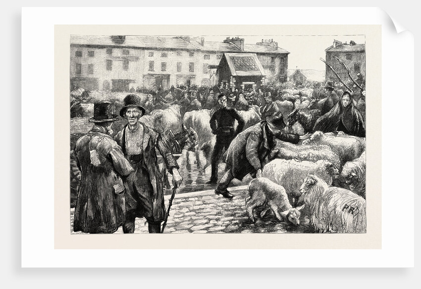 A Cattle Fair, County Galway Ireland by Anonymous
