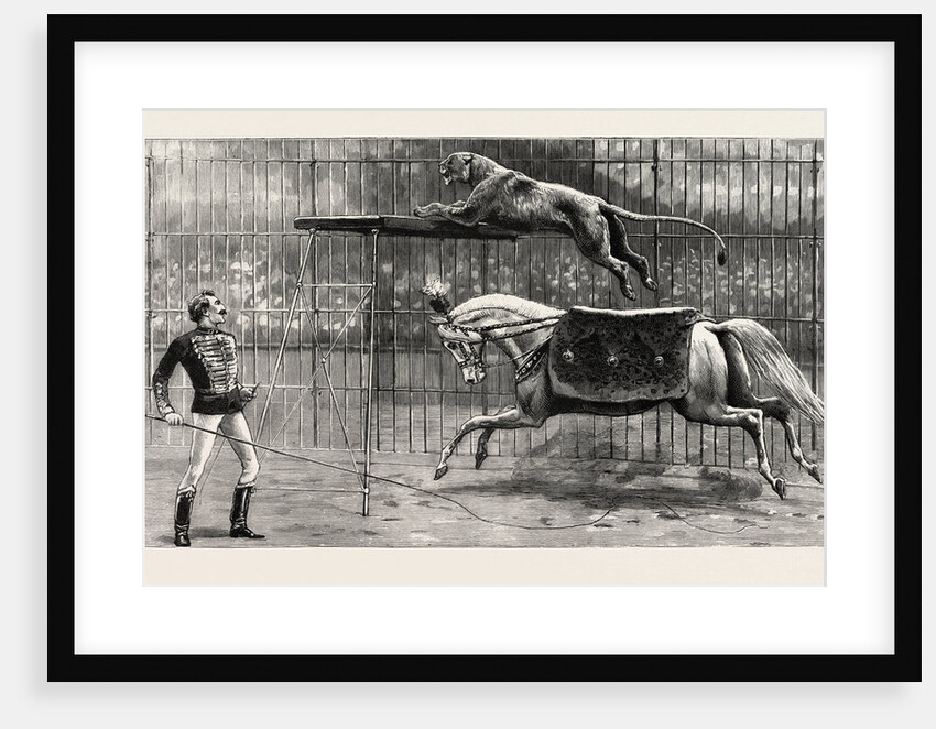 The Equestrian Lion Going Through His Performance at Covent Garden Theatre, London by Anonymous