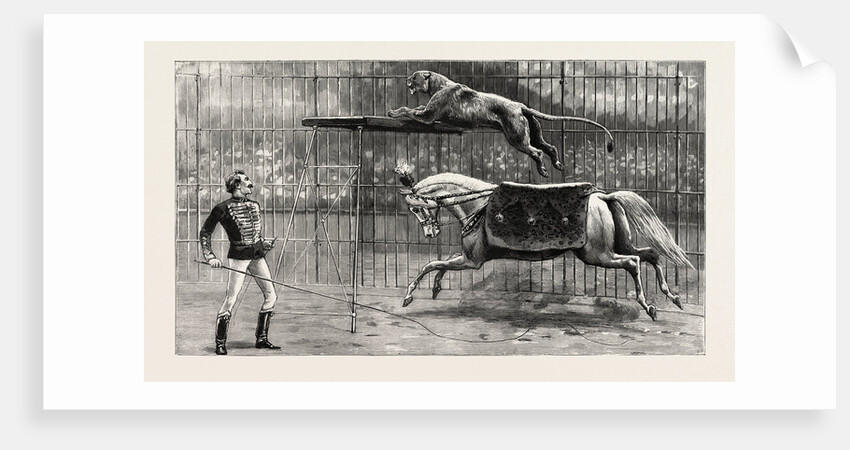 The Equestrian Lion Going Through His Performance at Covent Garden Theatre, London by Anonymous