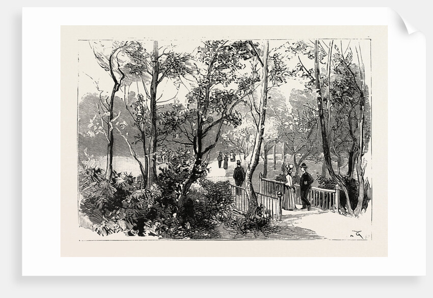 Bournemouth, View in Public Gardens by Anonymous