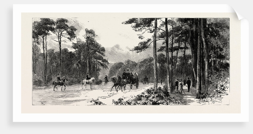 Bournemouth, Gervis Road by Anonymous