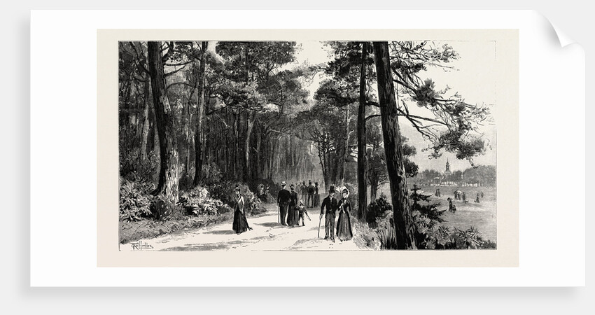 Bournemouth, the Invalids Walk in Public Gardens by Anonymous